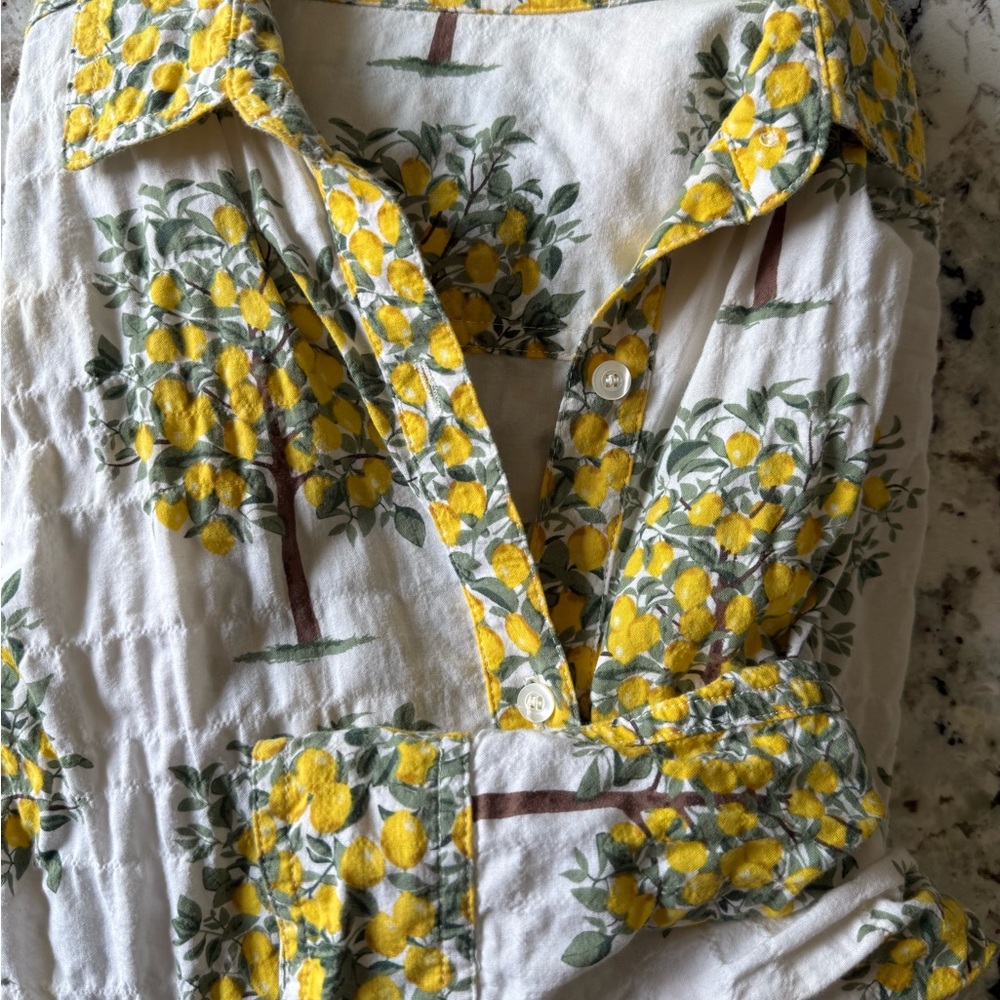 JMcLaughlin Lois blouse in a beautiful lemon tree print size xs like new!